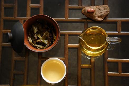 动漫J——，新世代的奇幻冒险，燃烧你的二次元热情！