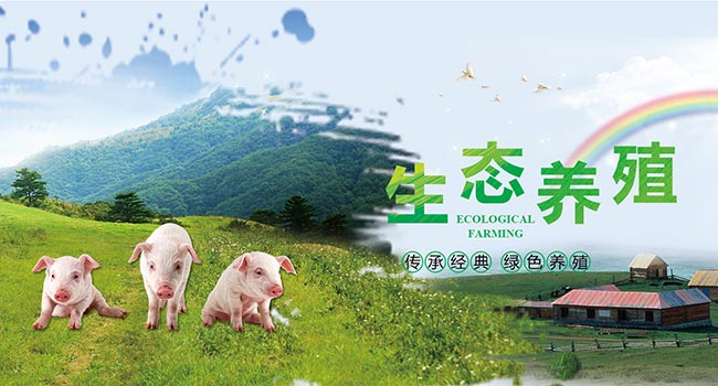 无修动漫APP国产成人综合亚洲亚洲国产第一页，解锁无限想象，一触即达的动漫新世界